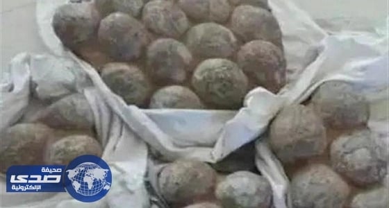 القبض على سارقي بيض الديناصورات المتحجرة بالصين