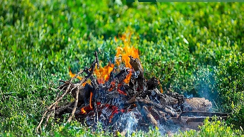 ضبط مواطن مخالف لنظام البيئة لإشعاله النار في أراضي الغطاء النباتي بالشرقية