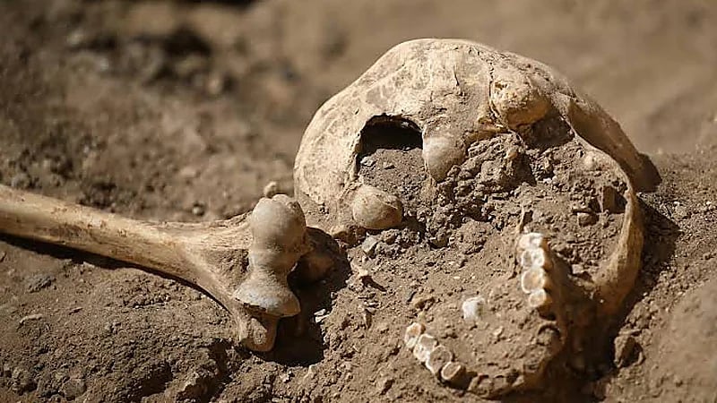 ‎العثور على بقايا بشرية داخل مسجد