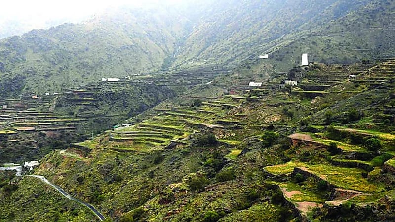 "المساحة الجيولوجية" توضح سبب انهيار جدران المدرجات الزراعية