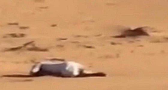العثور على مفقود حائل متوفيا وسط الكثبان الرملية
