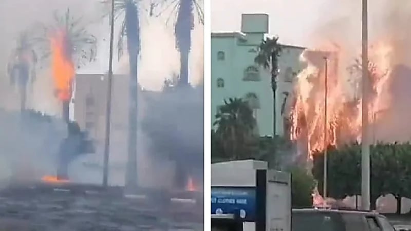 صواعق تشعل النيران في أشجار وادي وج بالطائف .. فيديو