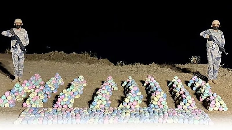 إحباط تهريب 240 كلجم من نبات القات المخدر بعسير