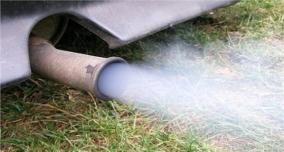 " الحكومة الألمانية " تندد باختبارات عوادم سيارات على البشر والقرود