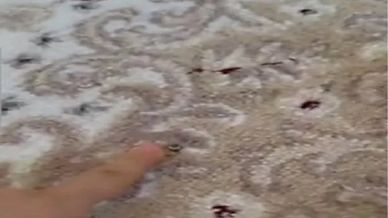 شاهد.. شاب يوثق رصاصة اخترقت منزله أثناء نومه في نهار العيد 