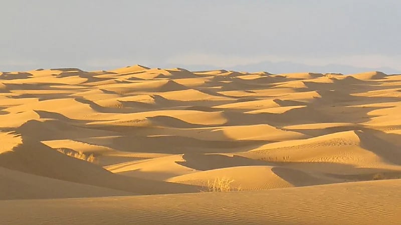 العثور على جثث 5 شبان فقدوا حياتهم أثناء التنقيب غير القانوني عن الذهب