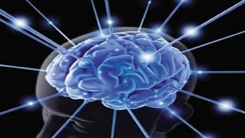 عالم ياباني : مركز الحب في العقل وليس القلب