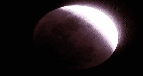 بالفيديو.. بعد 8 سنوات خسوف القمر يعيد تداول فيديو " المغامسي "