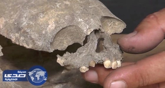 بالفيديو.. العثور على بقايا مخلوق فضائي