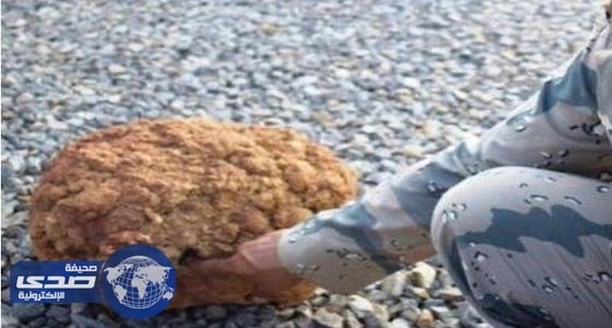 بالصور.. حرس الحدود يكشف حقيقة غرس الحوثيين الألغام البيئية على حدود المملكة
