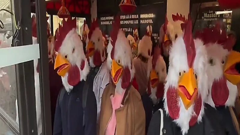 فيديو..فرنسيون يقفون دقيقة حداد على أرواح الدجاج!