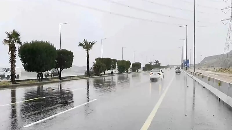 موجة باردة تؤثر على المنطقة الوسطى.. فيديو