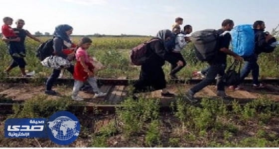 «الأمم المتحدة» تحصل على فتاوى بدعمها بأموال الزكاة لدعم اللاجئين