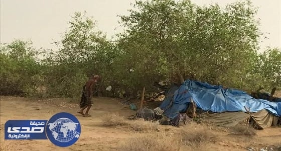 وفاة المسن " ساكن الشجرة " في بيش