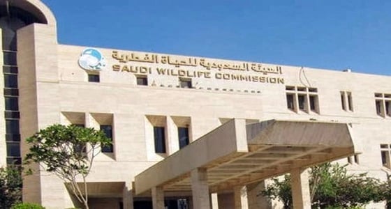 ابتعاث امرأة لإكمال درجة الدكتوراه يثير تساؤلات بـ " الشورى "