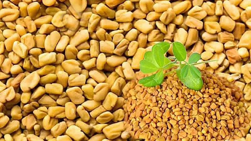 استشاري يحذر مرضى القلب من الحلبة