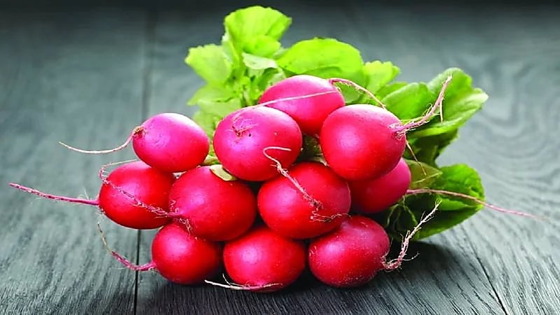 مختص يحذر مريض قرحة المعدة من الفجل