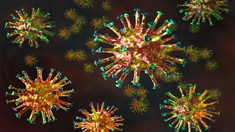 تحذيرأت من أوبئة جديدة خطيرة 