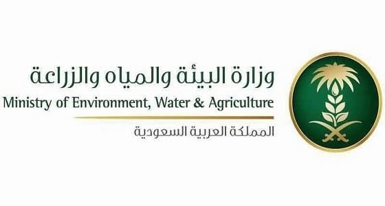 " المياه " تتجه لإصدار فواتير المياه شهرياً وجدولة السابقة مع الإصدارات الجديدة