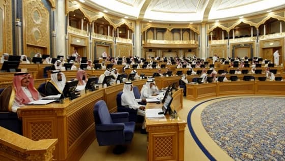 نقاش حاد بين عضوين بالشورى بسبب "باحثه " يشعل تويتر