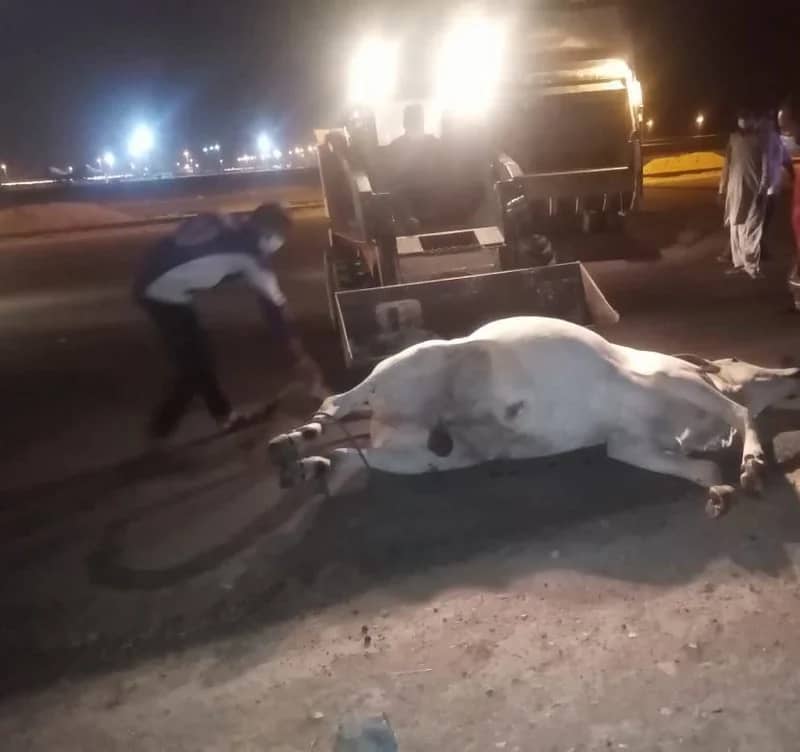 التجارة تجري استطلاعا للرأي للمتسوقين حول المتاجر الإلكترونية