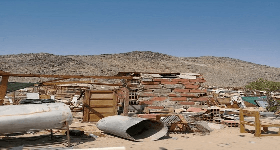 بالصور.. " العمرة الفرعية " تزيل 530 من حظائر الأغنام