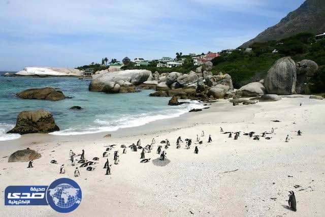 تعرف على أغرب 10 شواطئ في العالم !