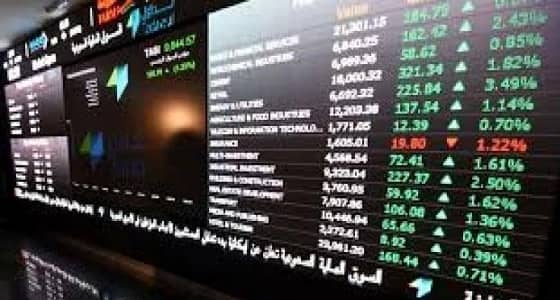 مؤشر سوق الأسهم يغلق منخفضا