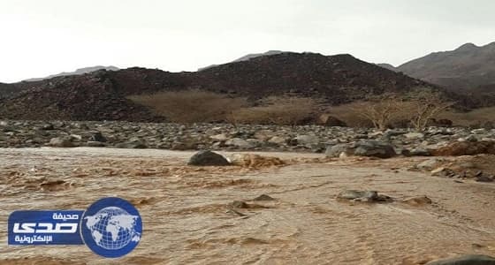 هطول أمطار على ينبع