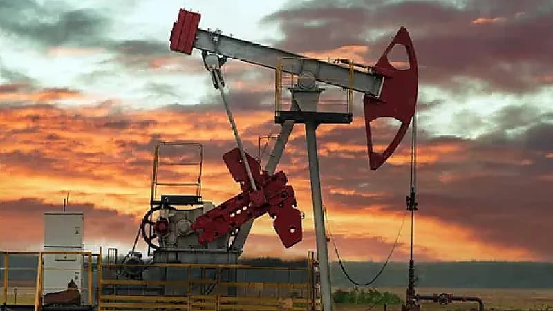 وكالة الطاقة الدولية: الطلب العالمي على النفط سيواصل الارتفاع حتى نهاية هذا العَقد