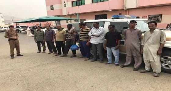 القبض على 2809 مخالفين و63 مطلوباً في عسير