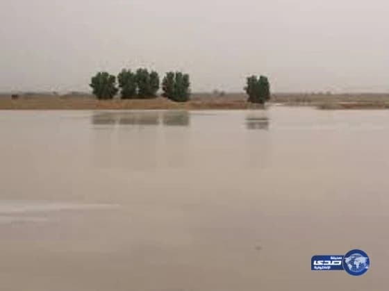 بالصور.. 56 ألف طالب بحلقات القرآن يتسابقون لتقديم وجبات الإفطار للصائمين