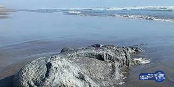 بالصور ..سعوديون على الطرق المؤدية إلى الحرم يصلحون السيارات المتعطلة