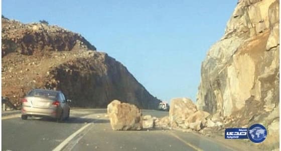 القبض على جاني "الشيلات" قاتل "اللواء المتقاعد"