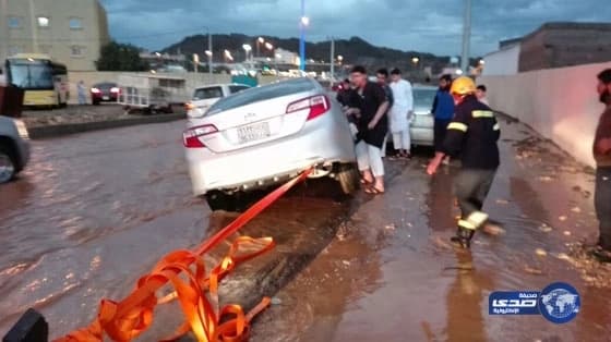 حلا شيحة: أحمد سعد صديق عزيز