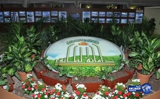 إصابة جديدة تبعد أنسيلمو عن تدريبات النصر