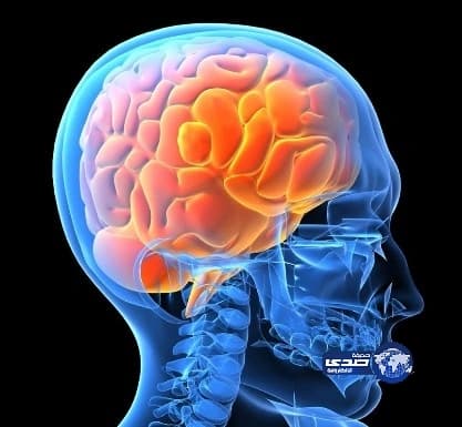 دماغ الإنسان مبرمج للتفاعل مع "الأحبة"