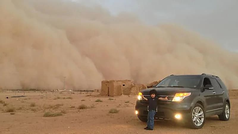 المسند: الربيع يشهد 55% من إجمالي العواصف الغبارية