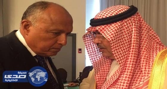 الخارجية المصرية تعلق على صورة تجمع سامح شكري ومسؤولا بالمملكة