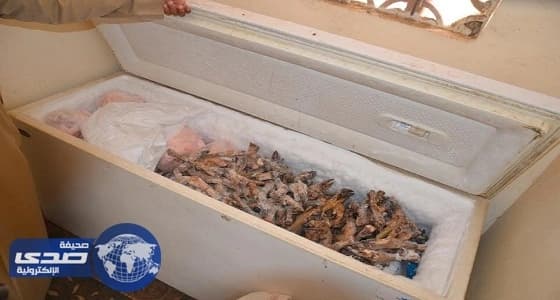 معلمة تتبنى مشروع " حينا أجمل " بعسير