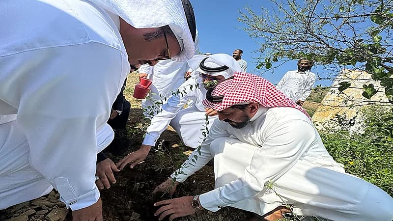 إطلاق مبادرة لزراعة 1000 شجرة سدر برجال ألمع.. صور
