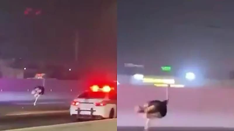 نعامة تتجول على طريق الحرمين بجدة والشرطة تلاحقها .. فيديو