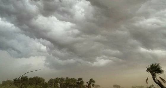 الأرصاد تصدر تنبيهات لـ 10 مناطق بالمملكة