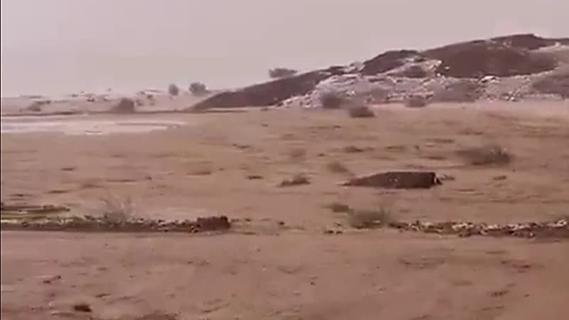 شاهد.. أمطار غزيرة وجريان السيول جنوب الحليفة