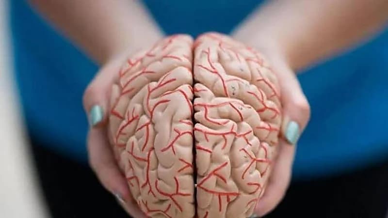 الكشف عن آثار كارثية لكورونا على المخ والأعصاب