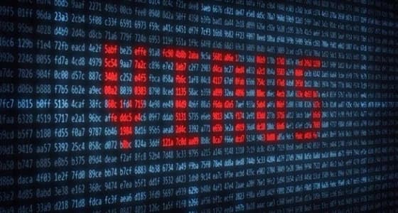 تحذير رسمي من هجمات " البوت نت " على أجهزة الكمبيوتر