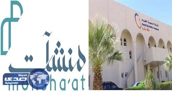 بالفيديو.. سقوط متسابق من فوق جمل