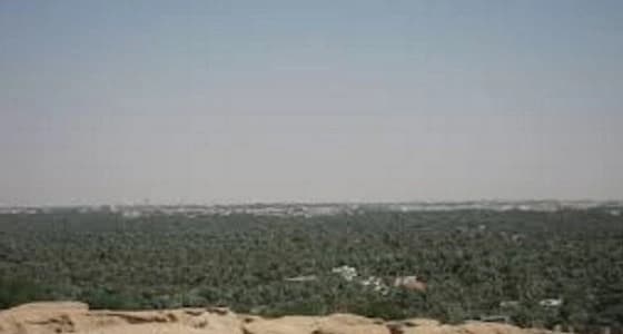 "الري والصرف" تودع " 33 " مليون ريال في حسابات مزارعي الأحساء