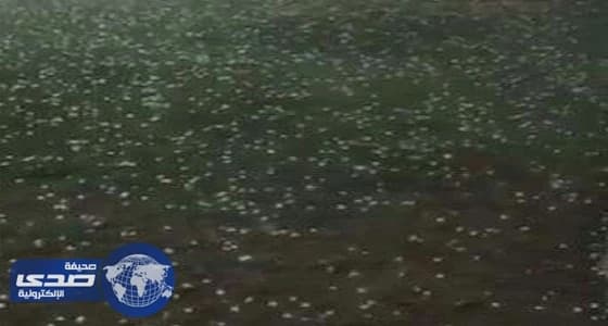 بالفيديو.. نشطاء يوثقون هطول زخات البرد و أمطار الرياض