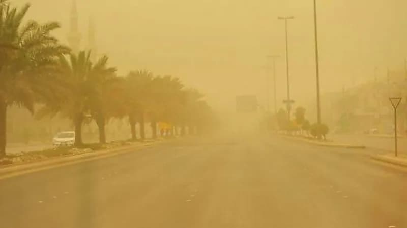 هبوب رياح شديدة تسببت في اقتلاع الأشجار بصبيا